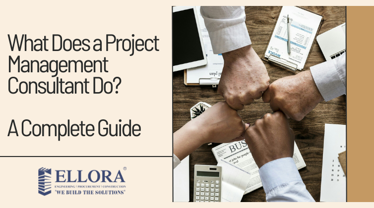 project management consultant